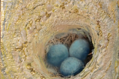 Nest